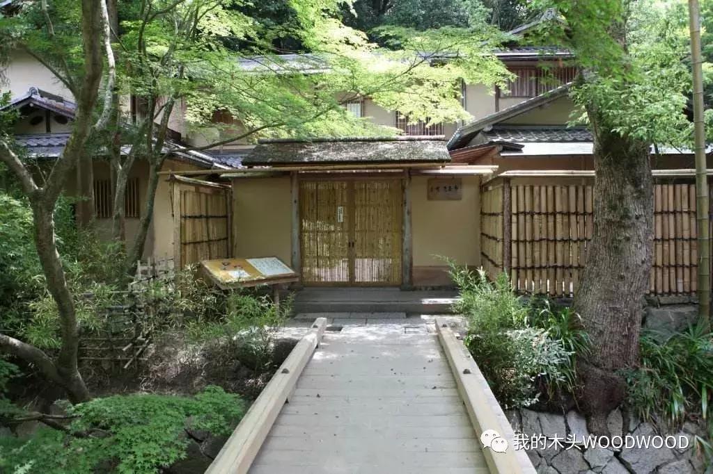 「树种介绍」软木中的贵族——日本桧木