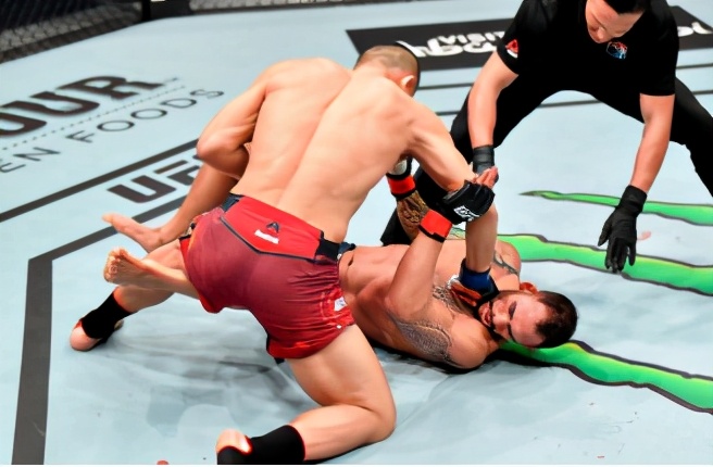 中国ufc第一季梗,中国ufc历史第二人