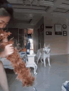 这才是社会该有的样子,这才是社会原本的样子