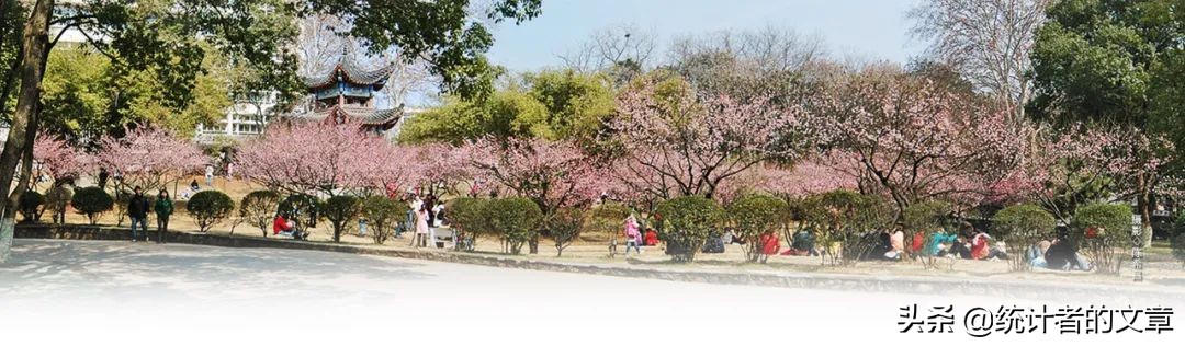 教辅解析超级详细,教辅评测新方法