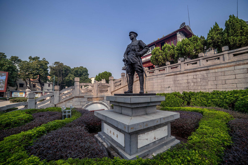 星湖冬日燃情，比落羽杉还要红的是什么？#我和湿地有个约会#