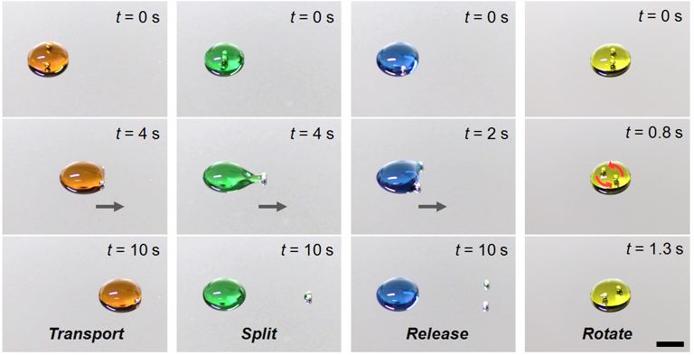 生物化学实验设计与实践,生物化学实验常用的技术