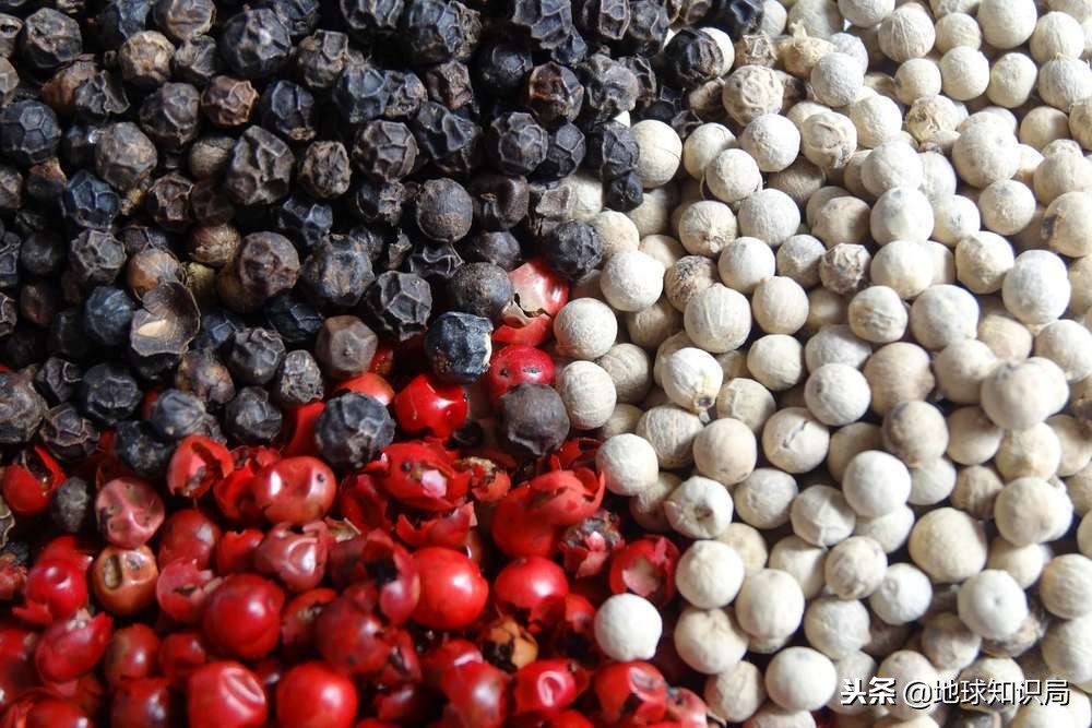 澳门有多文明,澳门有贫困山区吗