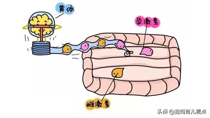 孕妈胀气怎么快速缓解,孕妈腹胀气如何快速消除