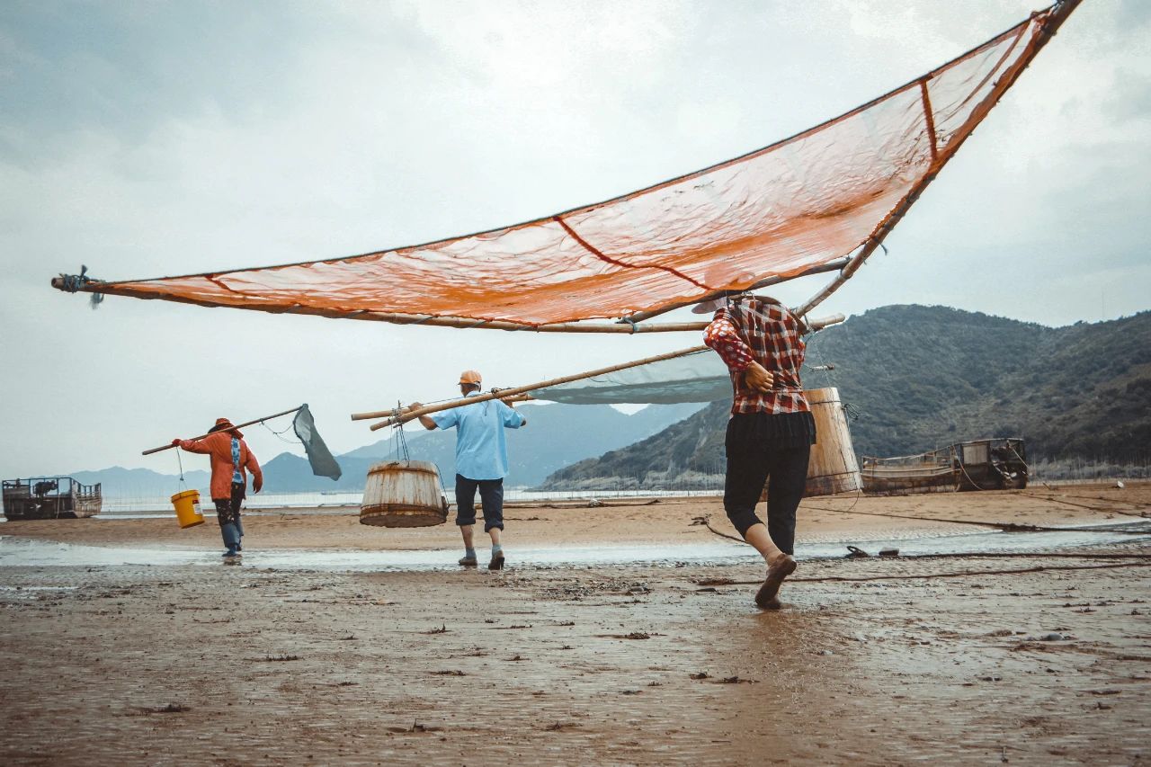 徐记海鲜460能吃到什么,徐记海鲜378