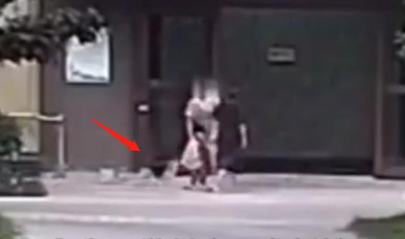 徽州宴老板娘的狗值多少钱,徽州宴老板娘到底养了多少条狗