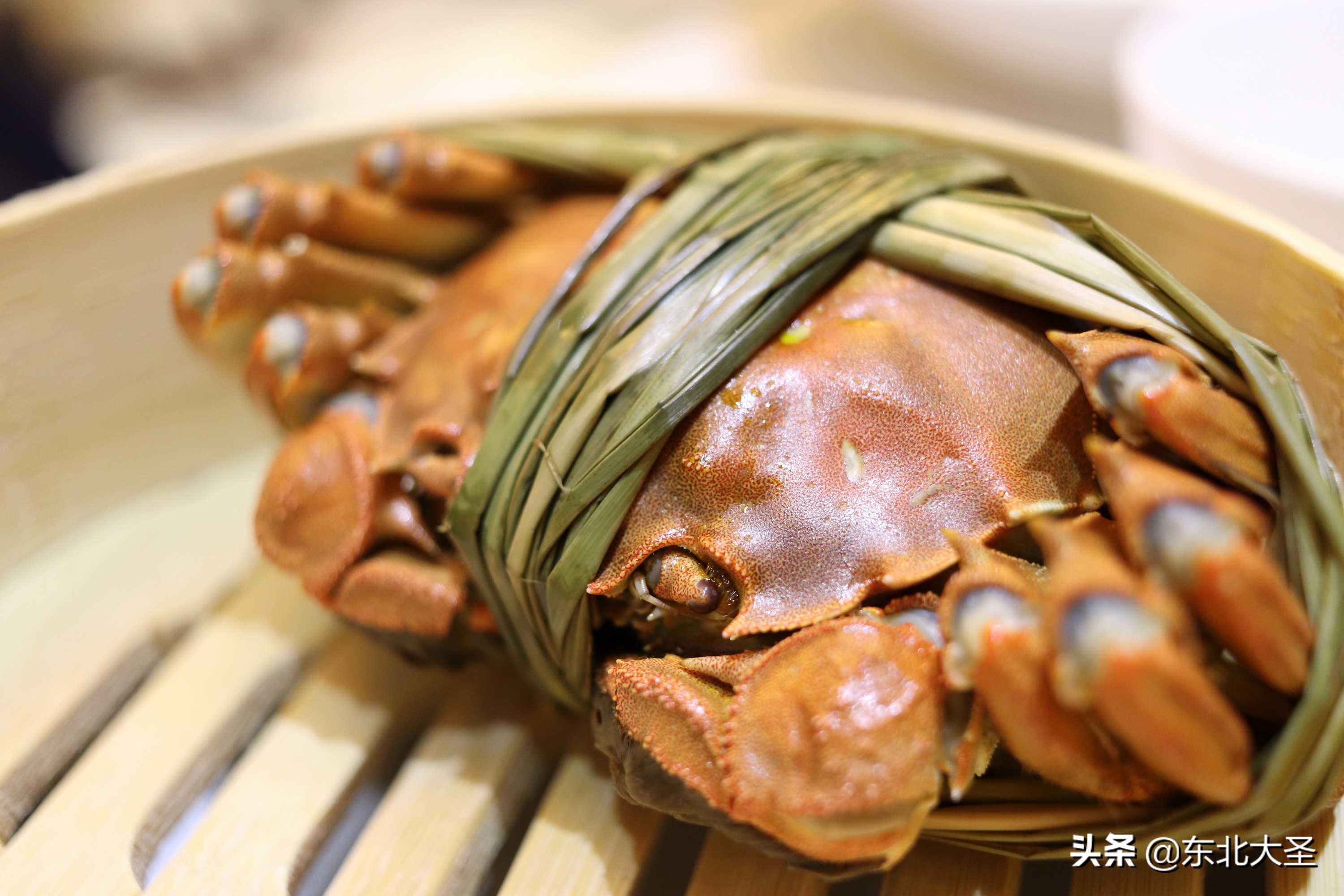 西湖迪士尼自由行攻略,上海南京杭州5日游攻略迪士尼