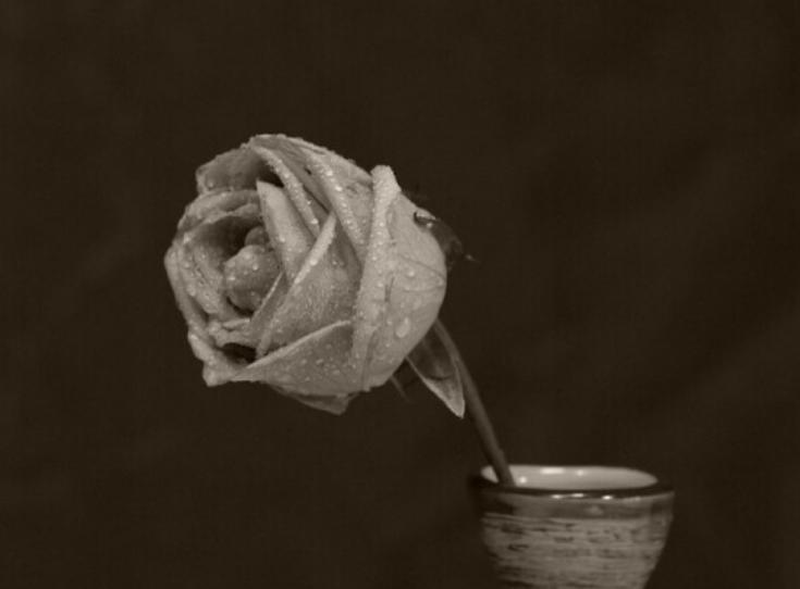 央视主持人崔健,崔健突发心脏病去世