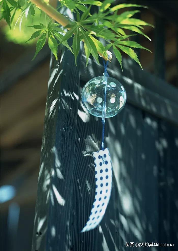 中文到底有多美这篇文章告诉你,中文到底有多美原文