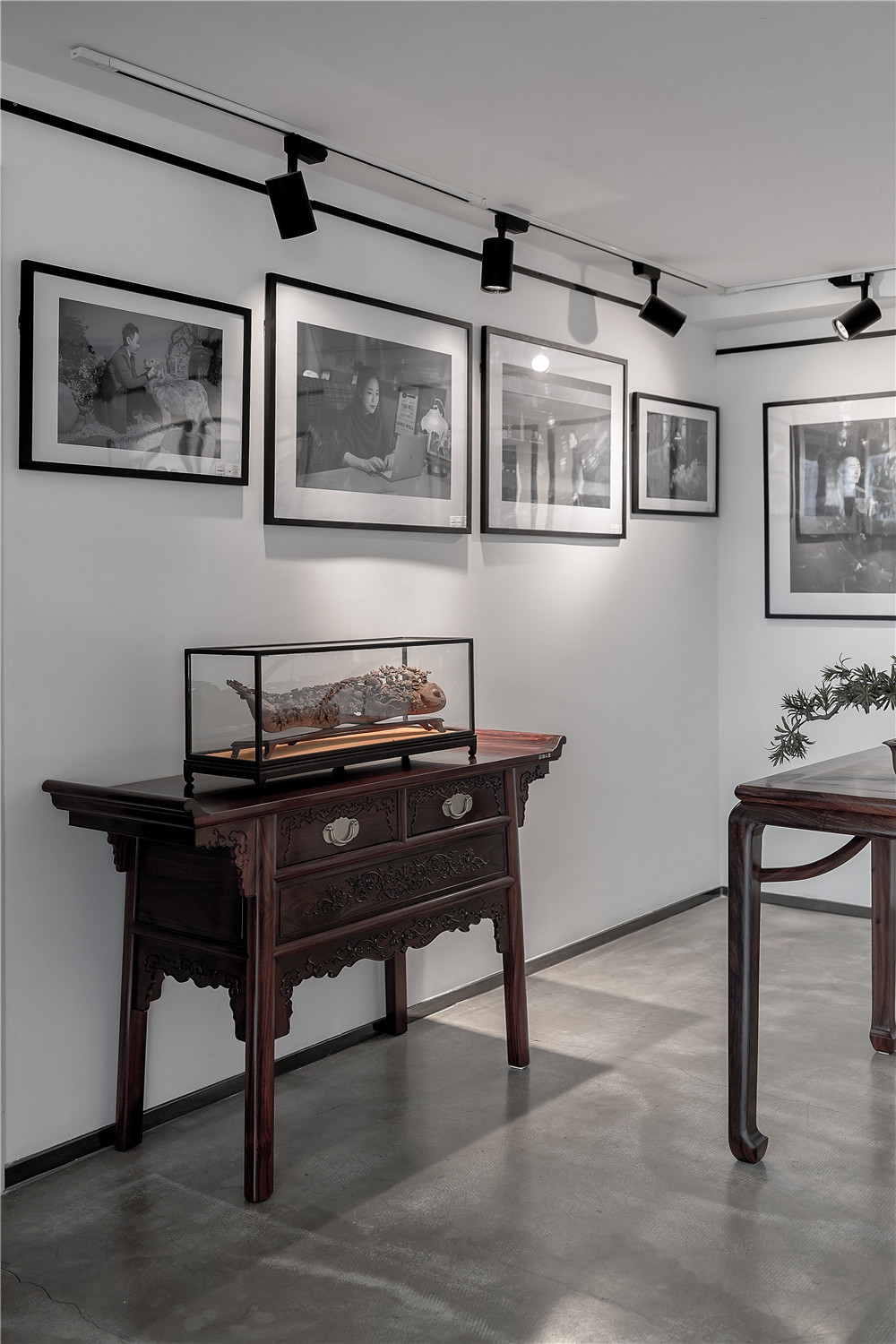 谜-常州首届设计师肖像艺术展