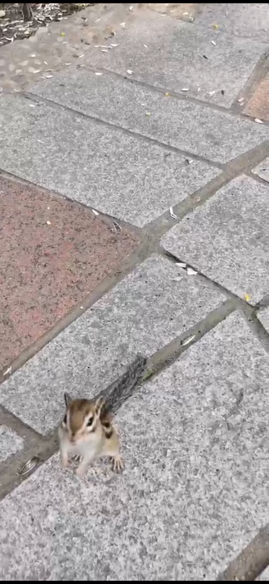 从哈尔滨松北大道右转太阳大道，豁然开朗