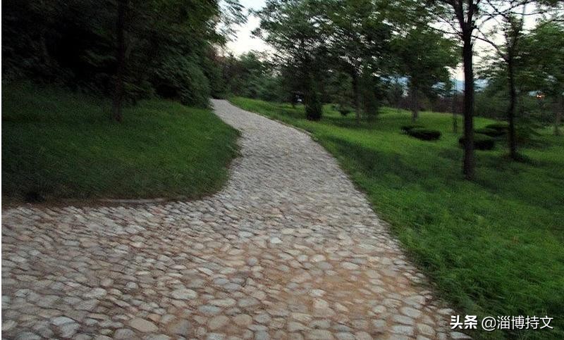 热爱生活从每日跑步开始,跑步让我感受健康和快乐