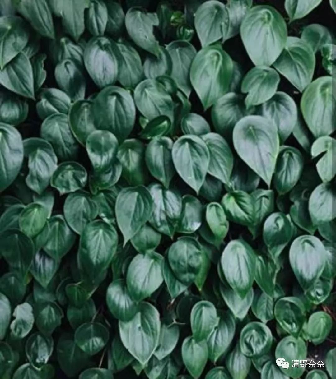 防晒霜过敏脸部自救方法,化妆品过敏紧急自救三步骤