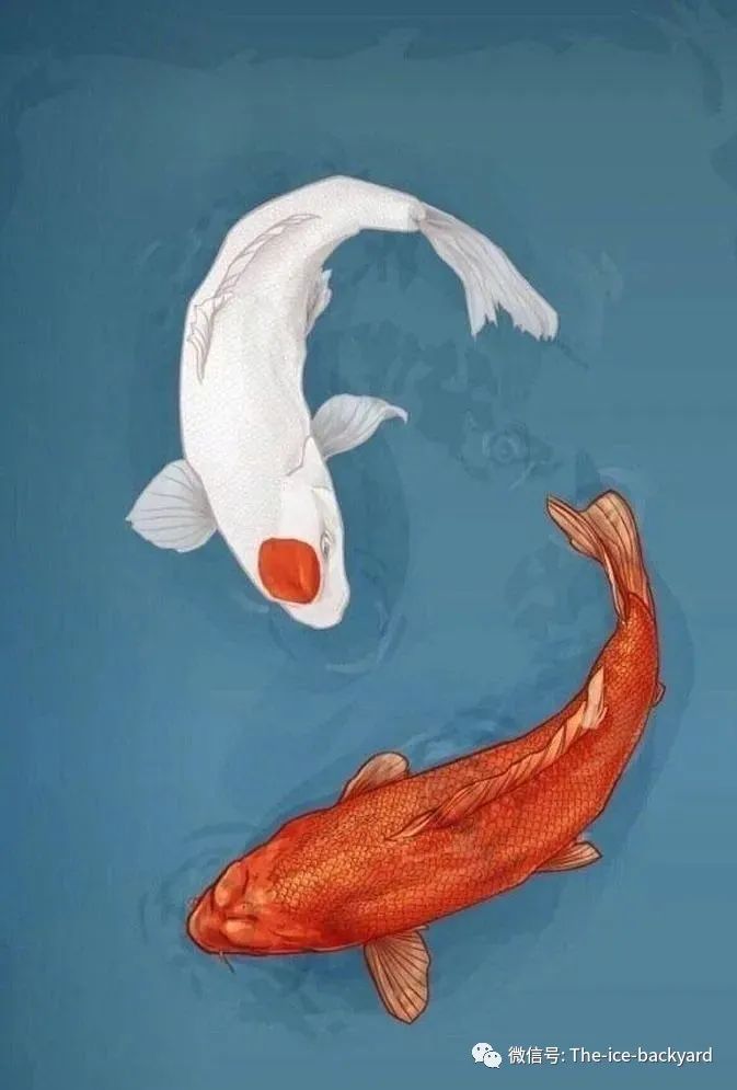 美国商务签证2021面签通过率,美国面签最新需要资料