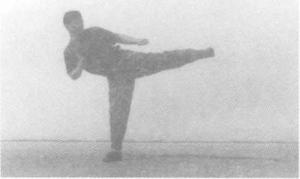 警用防暴棍对战短刀,警用棍式防暴器