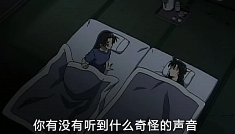 名侦探柯南神秘列车杀人事件,名侦探柯南盔甲杀人事件是第几集