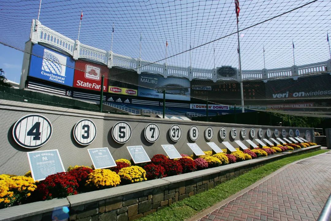 背号码的技巧,初学者如何选择背号