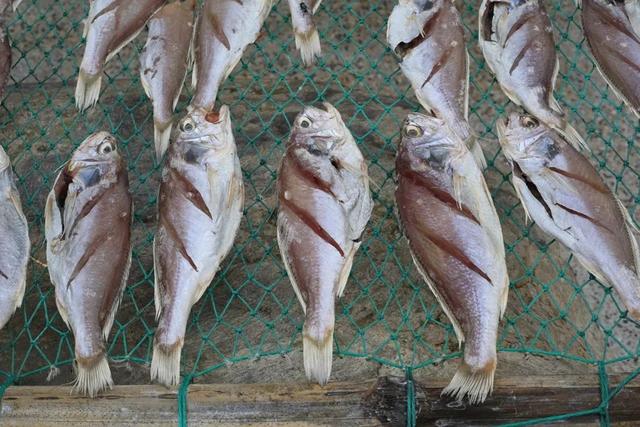 浙江宁波小众景点,浙江省宁波市黄金海岸