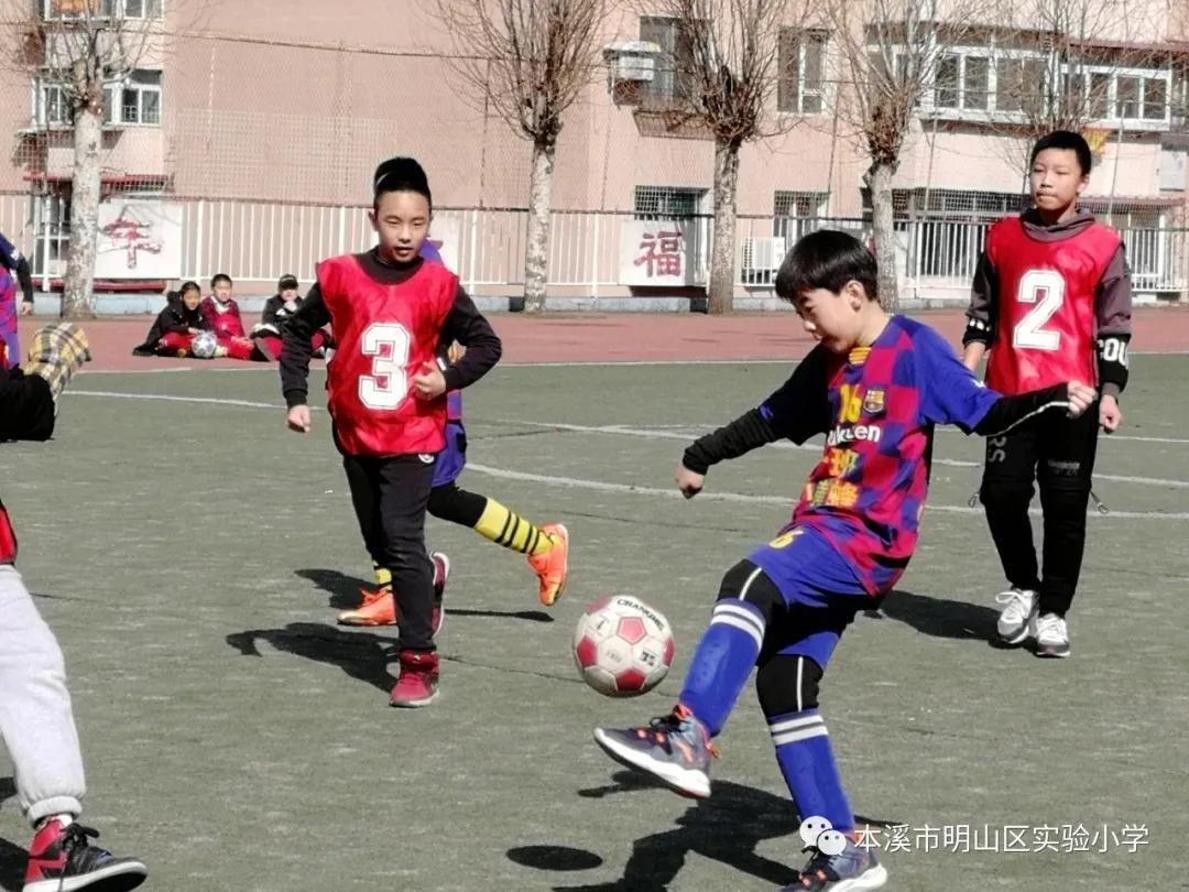 本溪市溪湖区小学生足球联赛,本溪市小学足球联赛视频