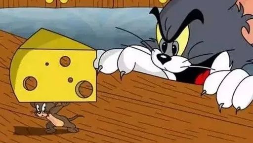 白蛋与蛋白质粉的区别在哪里,全蛋粉蛋黄粉蛋清粉到底有啥区别