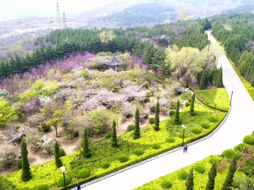 花团锦簇的峰峰是怎样炼成的？是时候告诉你真相了