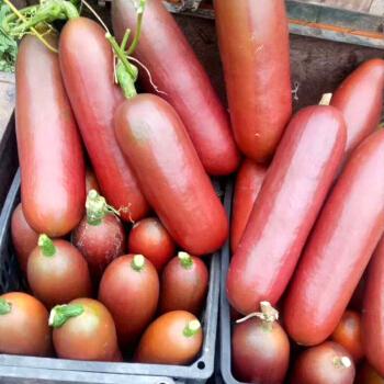 又一外来水果,听名字让人流口水,能当菜能当水果,少有人见过