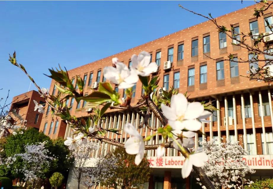 武汉外语外事职业学院可以进出吗,武汉外语外事职业学院出国