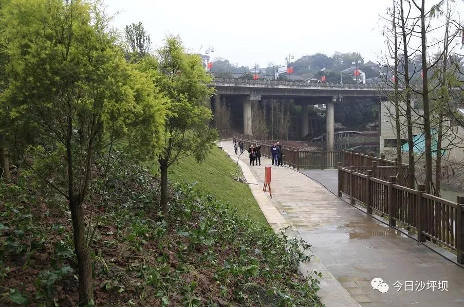 磁器口古镇现在怎么样了,磁器口古镇发生巨大变化的原因