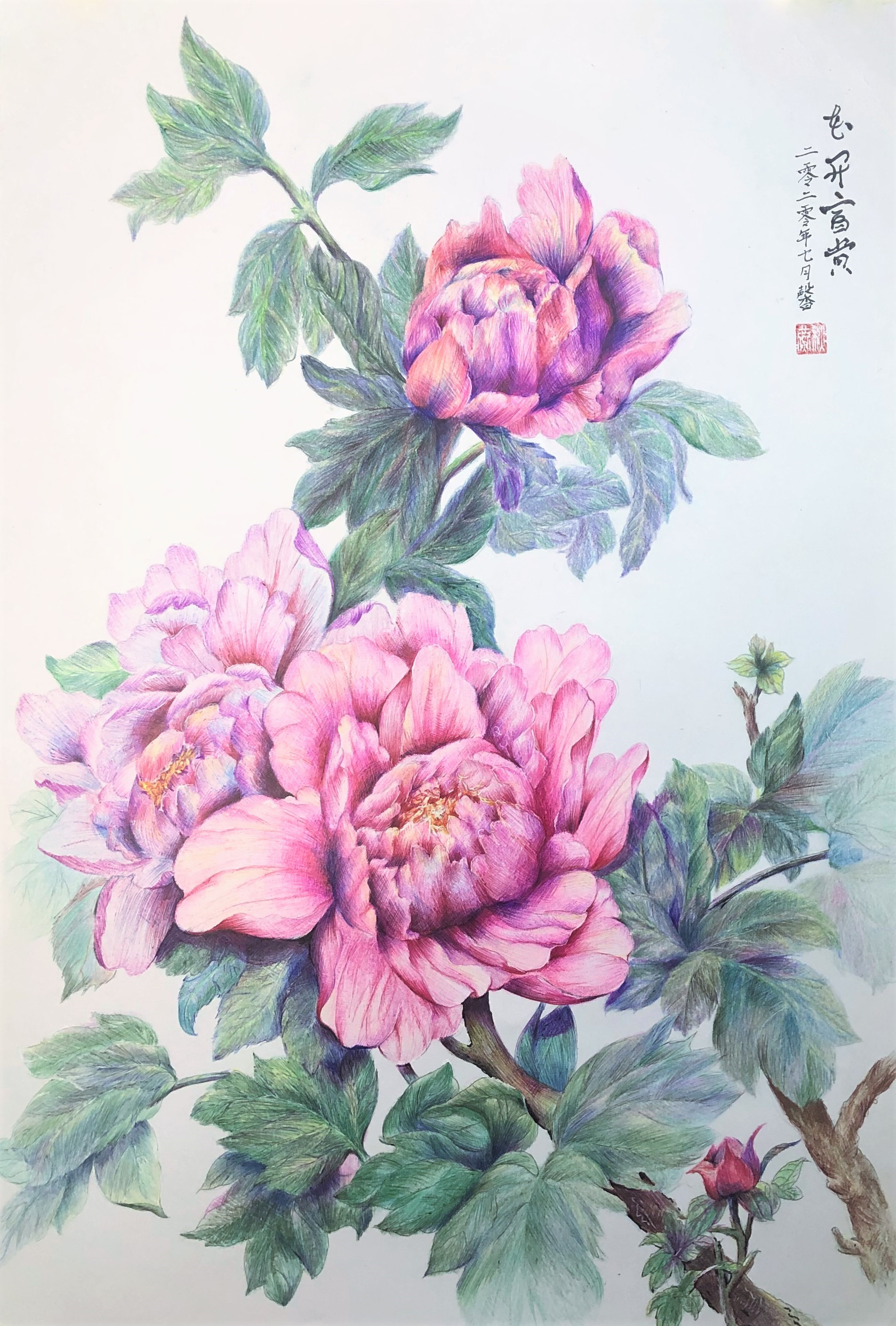 圆珠笔画牡丹教学,圆珠笔画牡丹的画法