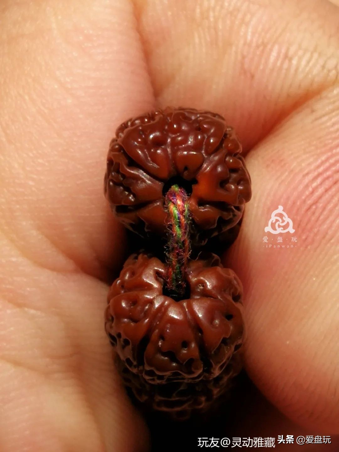 小金刚树王六瓣包浆,树王小金刚单圈包浆图