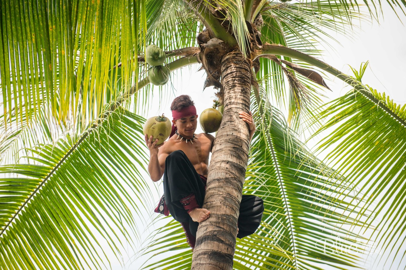 三亚千古情景区每天人流,三亚千古情每天都有表演吗