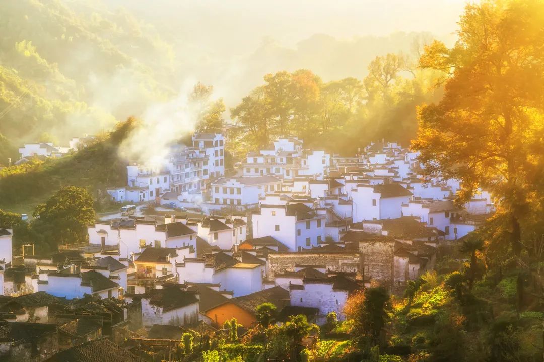 1011月错过它们,等于错过整个秋天!人少清净,随手一拍都是大片