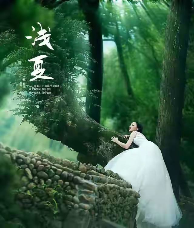 夏日时光，我恰好路过「散文」