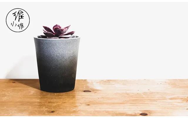 我花了20000块买包，智商税交了19000