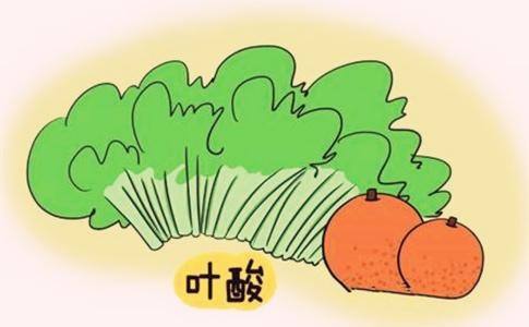 孕期吃叶酸宝宝会更聪明吗,孕期吃叶酸可以促进胎儿发育吗