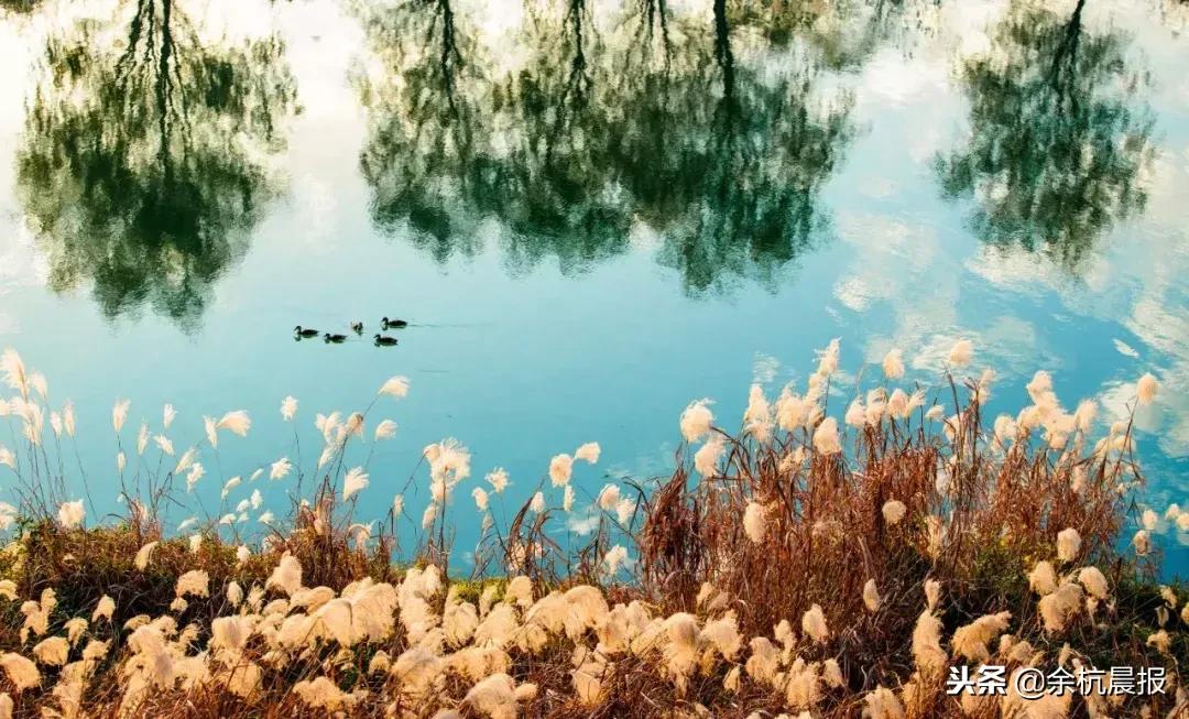 从惠仁家园这里到瓶窑有多远,杭州余杭瓶窑这里有学厨师的吗