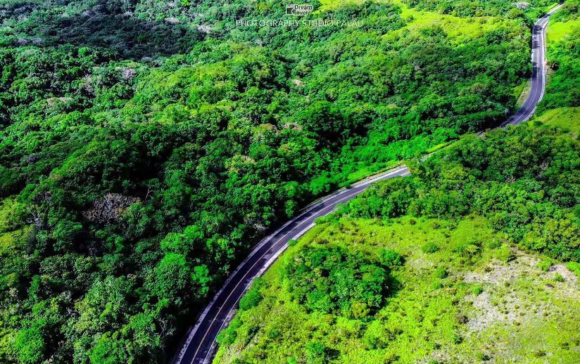 从A到Z，帕劳这个海岛国家远比你想象中更精彩