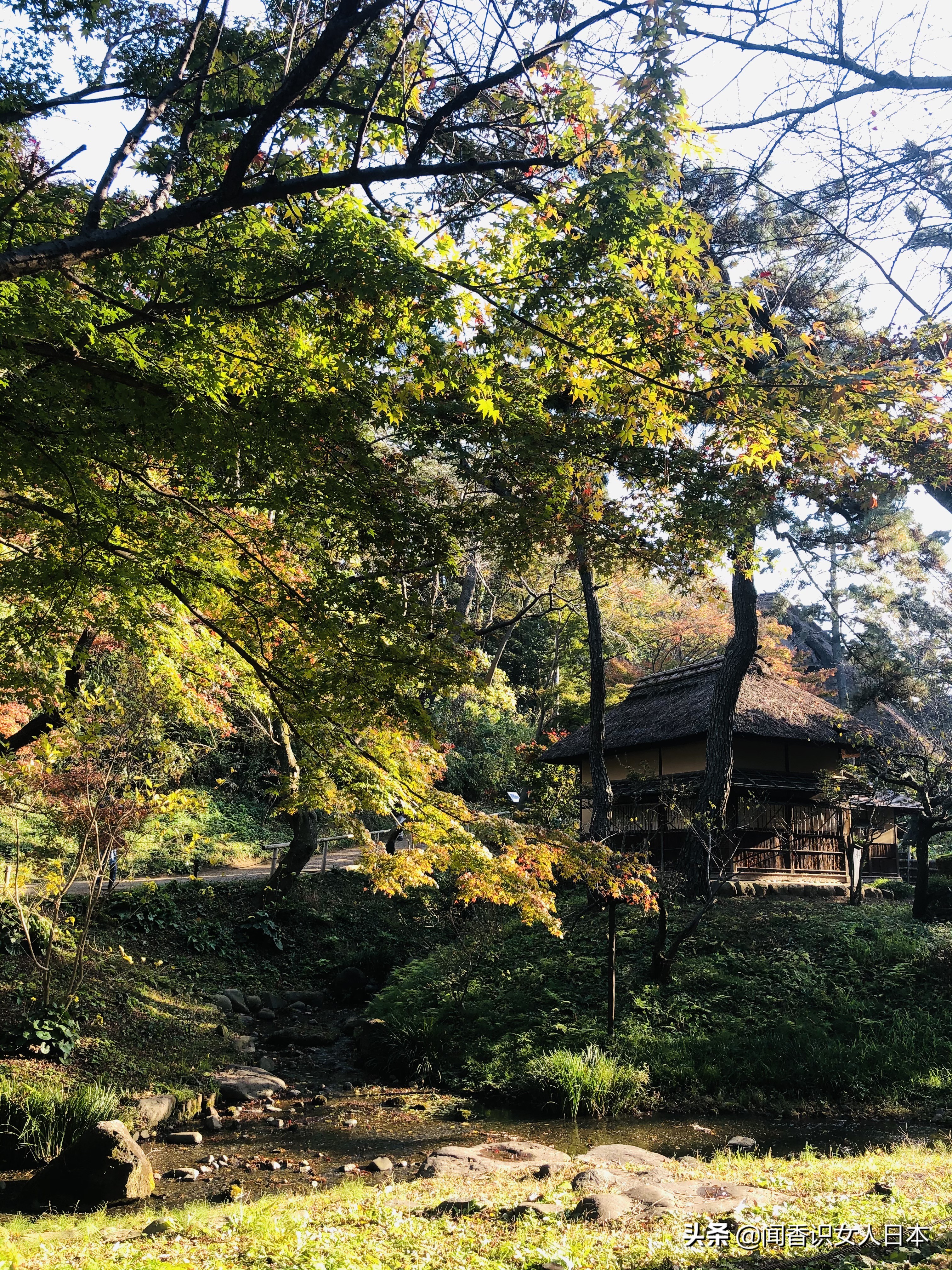 横滨三溪园,横滨三溪园介绍