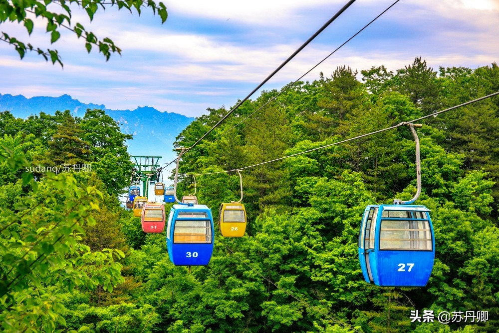 最美神都洛阳,古都洛阳一道靓丽的优美风景线