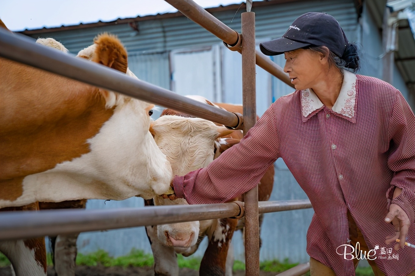 从漠河自驾到抚远镇,漠河至丹东自驾g331攻略