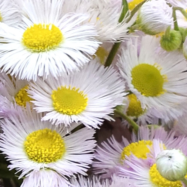 红米手机redmi8,redminote8红米手机