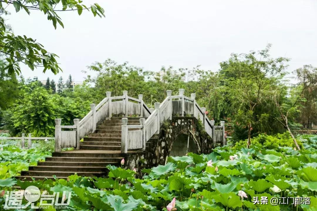 广东美丽台山,美丽台山