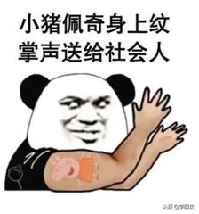 2018年网络热词排行榜,2018年网络热词解读