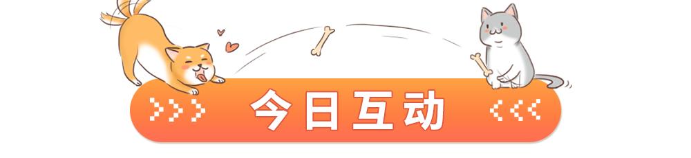 狗狗躲在床底下是表达什么意思,狗狗为什么喜欢躲床底下睡觉