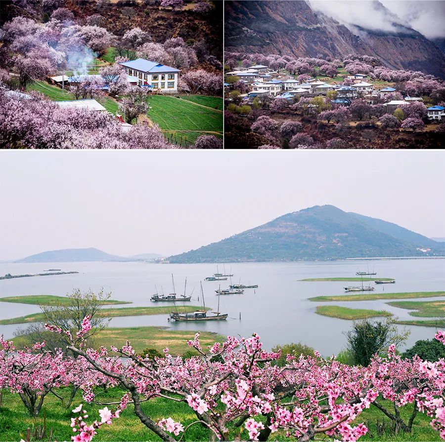 桃花源创意儿童画3-4岁,桃花源记儿童画线稿