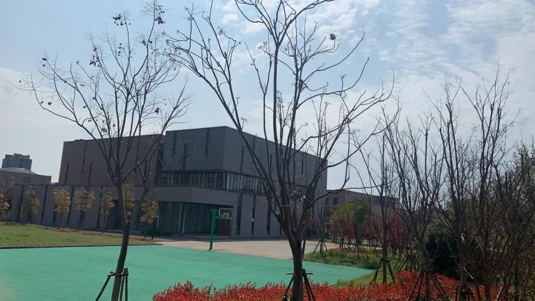 新三宅、G60江南文化季、艺术中心、体育中心，泗泾镇一大波文化项目剧透来了