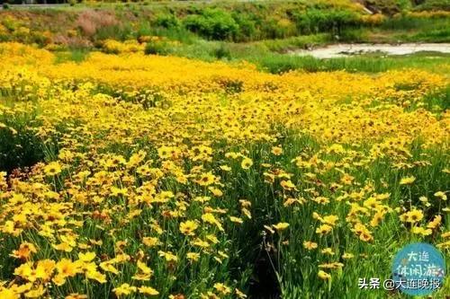 大连旅游必去景点路线推荐,大连最佳的旅游路线