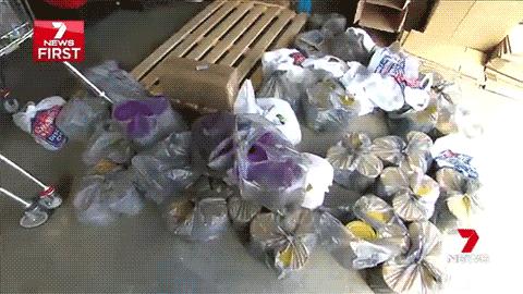 现在还可以代购澳洲奶粉吗,代购奶粉澳洲