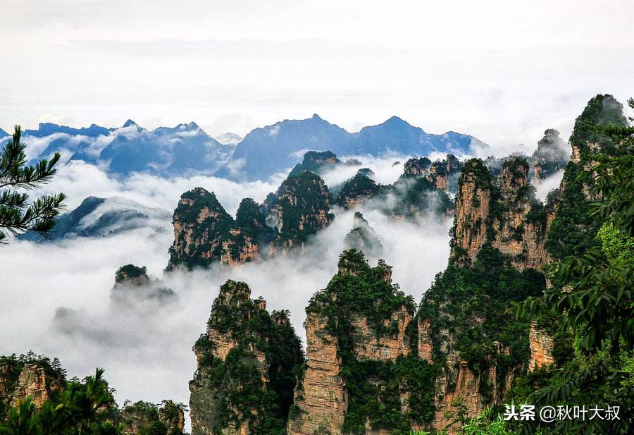 如果自己被冤枉，牢记这五点，老板满意，同事服服帖帖