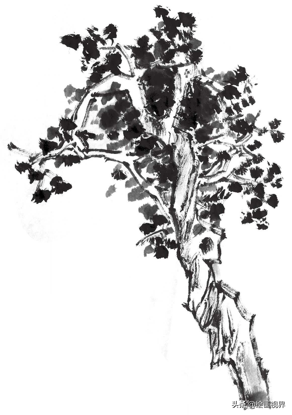 国画双钩树的画法入门,国画杂树与山石的画法图片